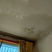 ���̶�¥����©ˮ��