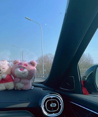 ��������ĳ������ʸ�װ������������Ķ����²�