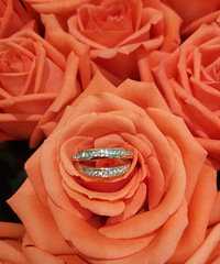 ѡ�˸�����Ʒ�� �����Ž��ָ���Ǻܺÿ���