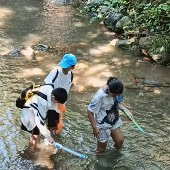 ��ٱ����Ǵ�ͷ