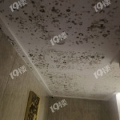 С�����³���ȫ����ù