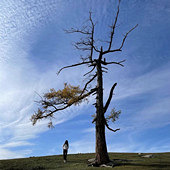 ����תת���ǵ���