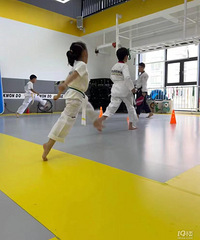 ���ӵ������ô������Ȼ�Ǳ�����ȭ����������ʢ�ľ�����