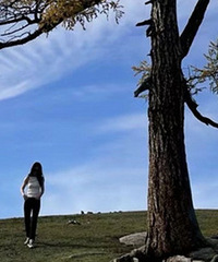 ����תת�ͻ��ǵ���...