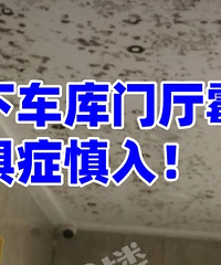 С�����ⶥ�Ϸ�ù��...