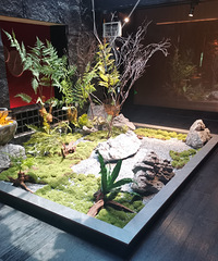 �������ײͺû��㣡