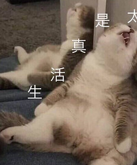 骨折了要修养两三个月 结果到处被骂!明明是对方全责我被撞啊…