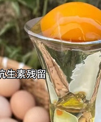 �����Żݣ���̬������ ����Ⱦ���ĳԣ�