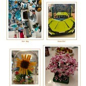 ����ֻ���Ǳ����쳵