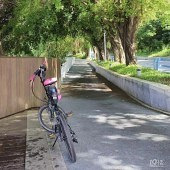 ����������������