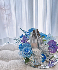 ��������blingbling��Ь�ܣ��޺ÿ�