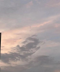 һ�����ĵ���ʵ