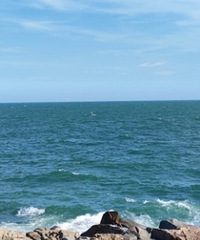 40+��У��ʦ�������� �з��г�