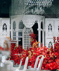 ����ȫ���������������������Ʒ�� ����ɴױ�콲�⣡