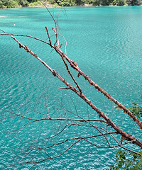 ������֪�� һ����һ����7����͸֧�������...