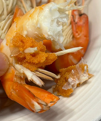 ��ΧϺ������Ϻ���Ǹ�������һ�֣��Ҿ��û�ΧϺ�����ʺó�~