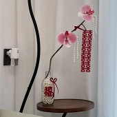 50��Ǯ���˻���ڼ�