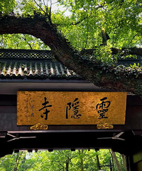 �����µ���ٻ�ʣû���� ���������� Ԥ���ѻ���