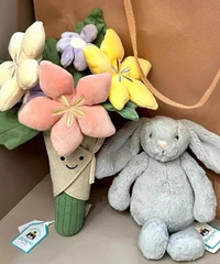 jellycat����������ż ���ͦ��ģ�