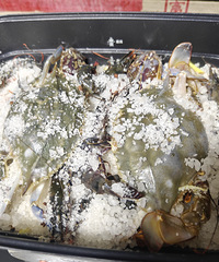 ���ڳ����ˣ��Οh����з+�ڻ�Ϻ  ԭ֭ԭζ����ζ����