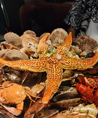 �ൺ���� ����������Ϧ�� �Ϸ������ˣ����տ��ָɱ�