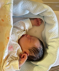 �������Ϧ������ر� �ǵ�С������������͸�������õ�����