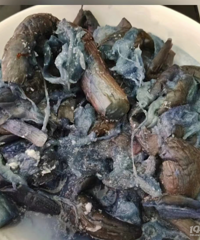 ��һ�����������������жࡰ��ϲ�����һ�������������ҡ�