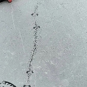 �¼ҳ��ֹ���Ľ�ӡ��