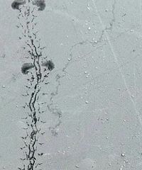 �ù��죡�¼�ͻȻ���������Ľ�ӡ��