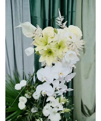 �����Ѳ�ƺ���� �о���ɫ�ر�ÿ� �ɾ����ر�ߴ��� �����ĺ�