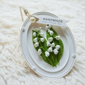 ������ʯ������Ƭ