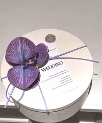 ����ϲ�ǻ�Ʒ���9��������ȫ��8.8�� �����Ͳ�ͣ