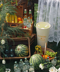 ��ƺ�����Ϊ�����˵�׷���⼸�Ҳ��õľ޺ÿ���ѡ����