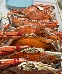 ����������зС�������ʲ��ʵ��۸񻹹�