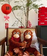 ����������ѹ������ һ��С���