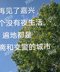 �������ǡ����ֻ���������������������ô����
