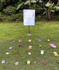 ��԰����ʽ�Ļ����������������Ȥ С��Ϸ���ܵ����ֳ���Χ