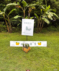 ��԰����ʽ�Ļ����������������Ȥ С��Ϸ���ܵ����ֳ���Χ