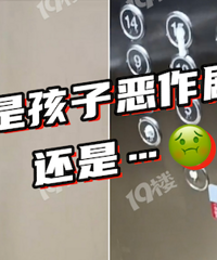 ���ݰ�ťŪ������������