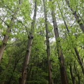 90�����첻�����У�