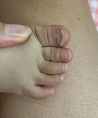 �����Ľ�ָ������������  ����Ϊɶ��