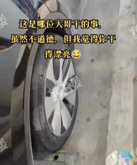 ���˰�����˹�������粻�߰�ռ���λ ��ɱ̥�ˣ�