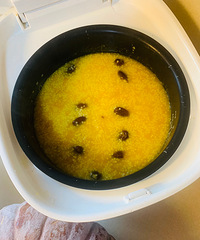 �Ѿ���˼ ���ŷ����ĸ���������ʳ��