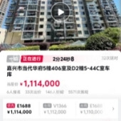 ��������ֻ��110w