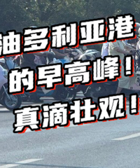 ��¿������⡭��