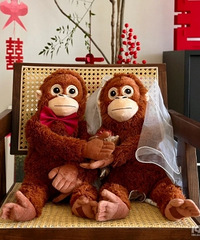 ����������ѹ������ һ��С���