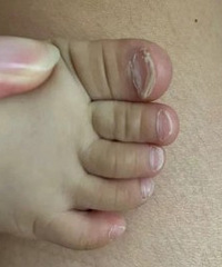 �����Ľ�ָ������������  ����Ϊɶ