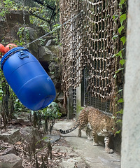 ��Ȱ��û�±����ȥ����԰��������������