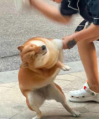 ���ǣ�2�����˻�����ô��˵�� ֻ��򵥵ĵ��ʰְ�����