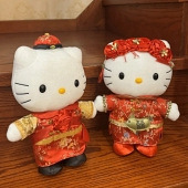 �Ե������ѹ��������